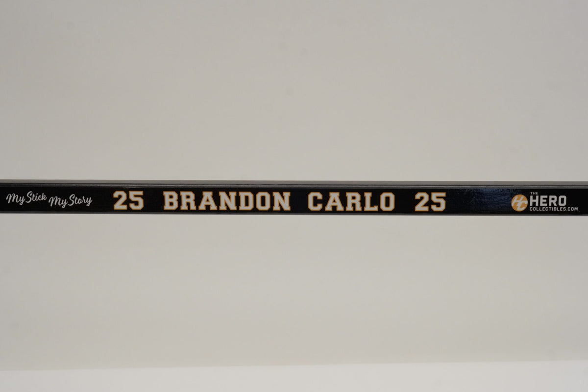 Brandon Carlo Full Size