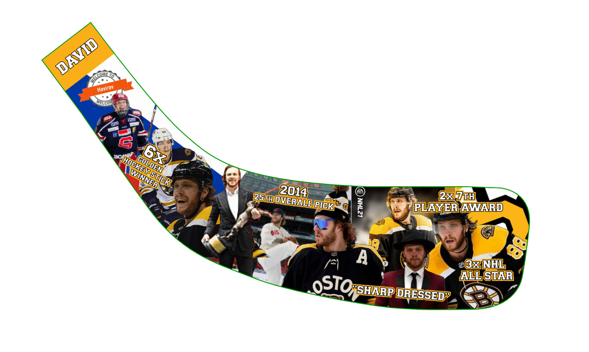 David “Pasta” Pastrnak Mini Stick