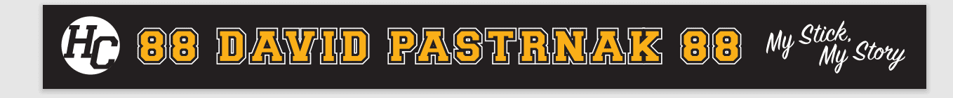 David “Pasta” Pastrnak Mini Stick