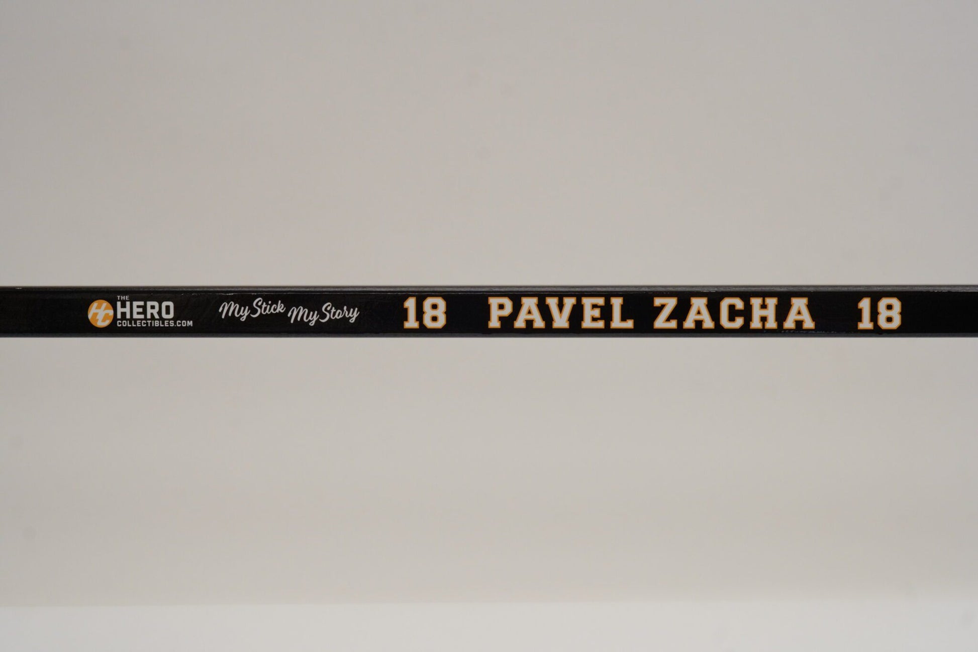 Pavel Zacha Full Size