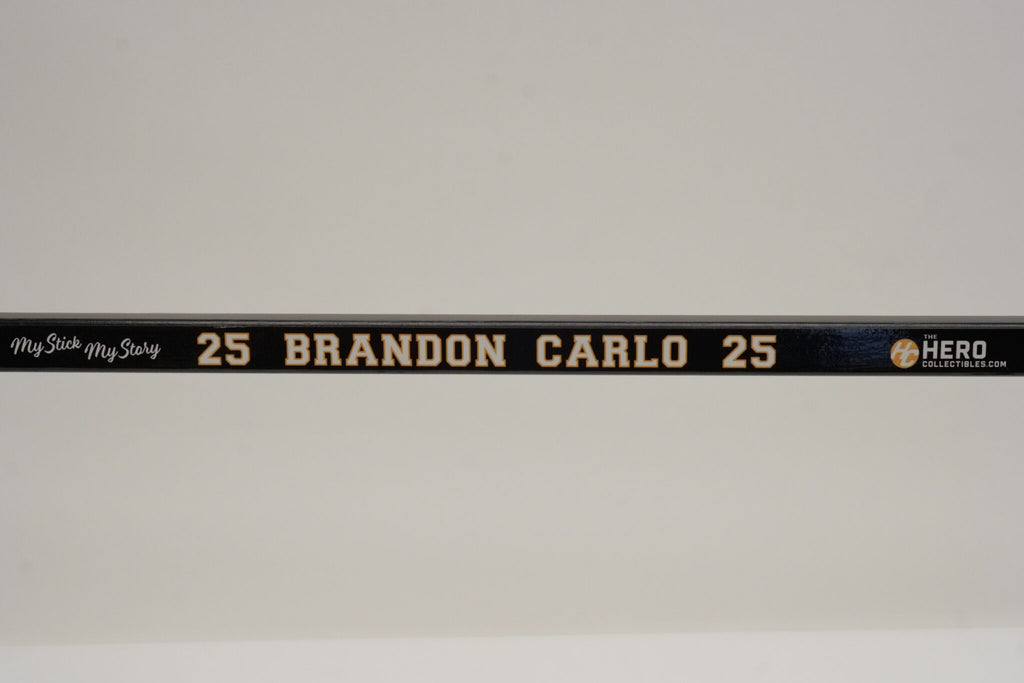 Brandon Carlo Full Size