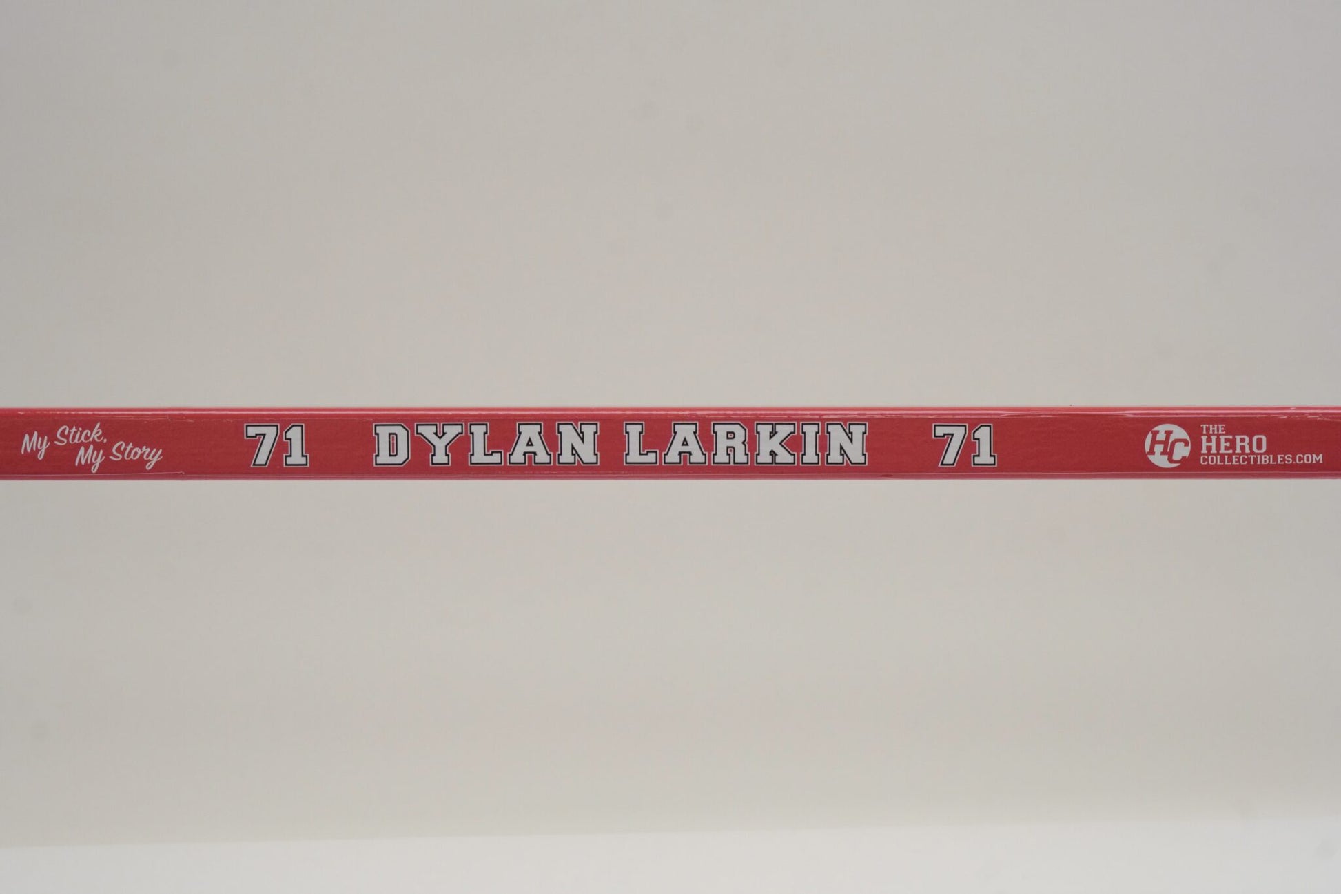 Dylan Larkin Full Size