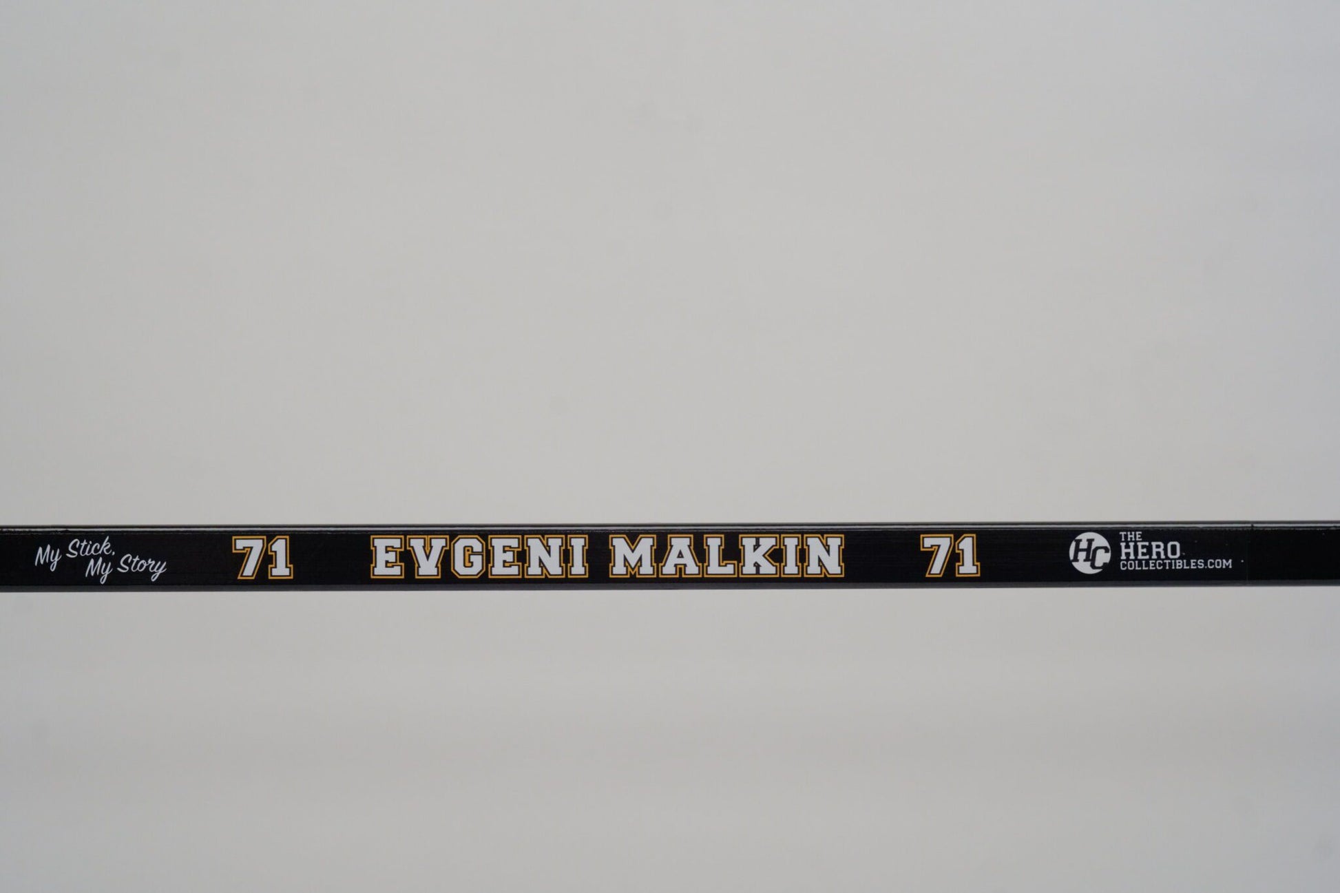 Evgeni Malkin Full Size
