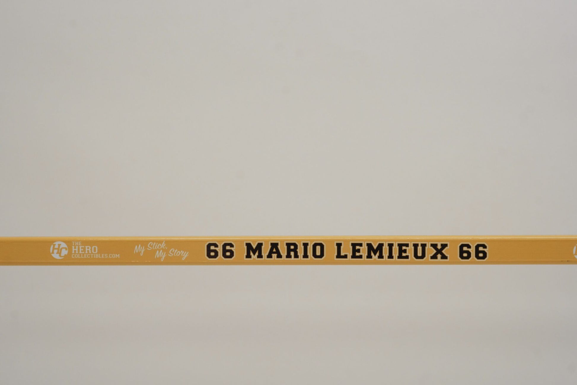 Mario Lemieux Full Size