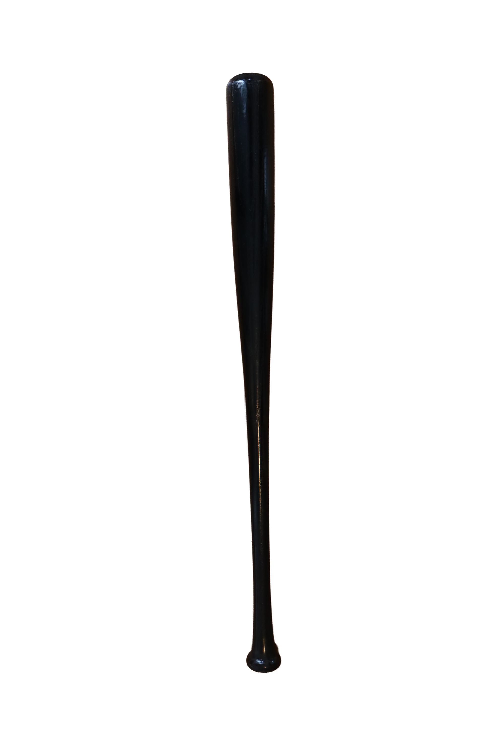 Custom Baseball Bat